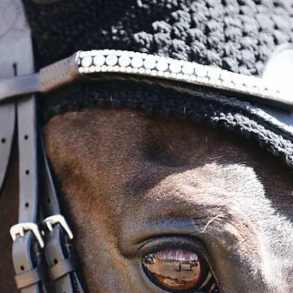 Lumiere Solitaire Crystal Browband