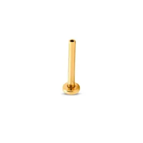 Trident 24kt Gold PVD Titanium Internally Threaded Labret Pin