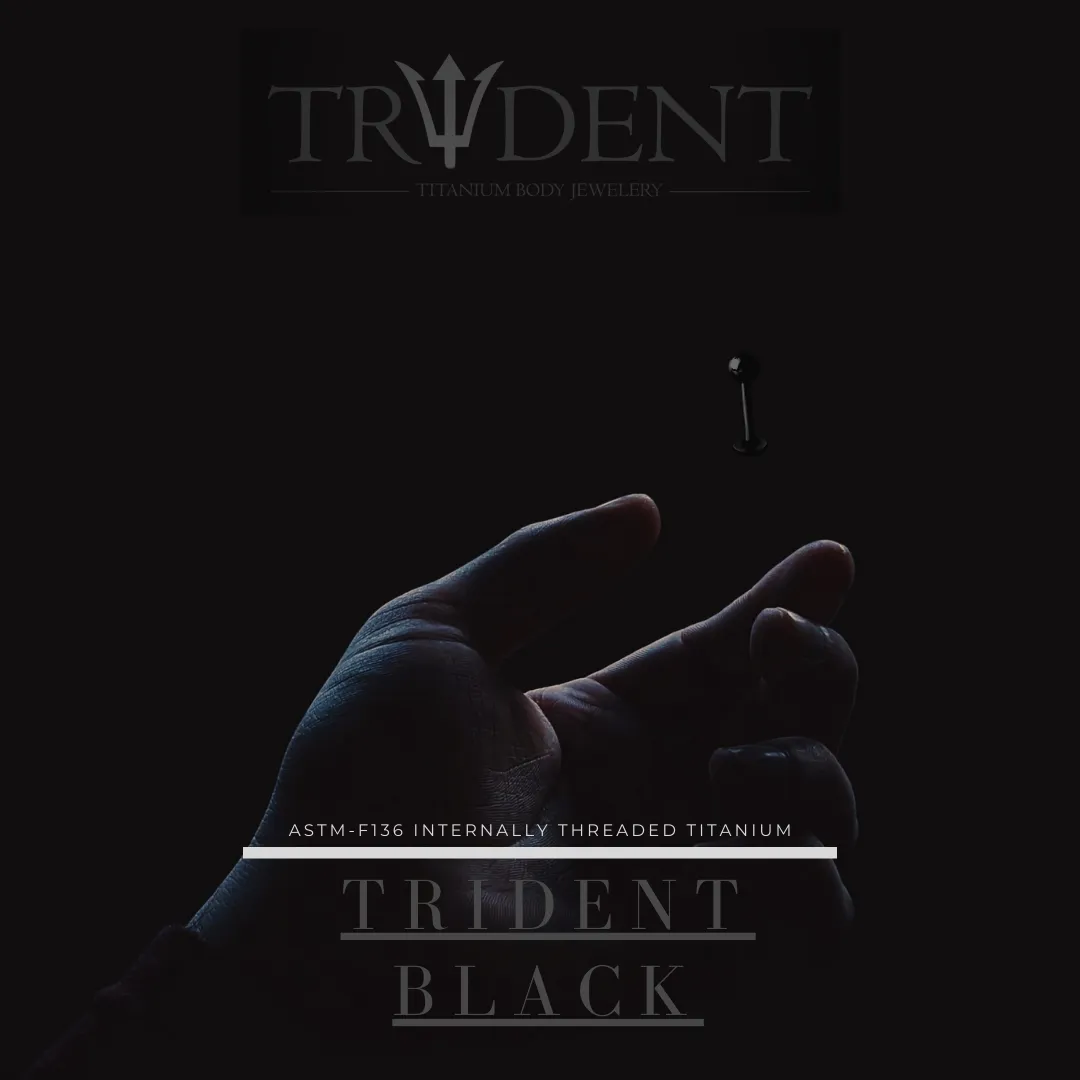 Trident Black PVD Titanium Hinged Segment Ring